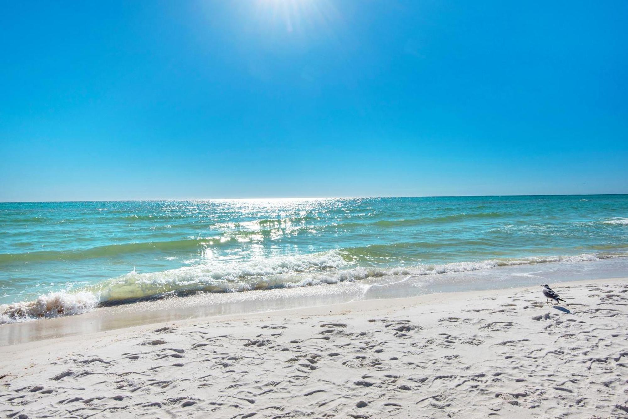 Shores Of Panama 1816 Panama City Beach Dış mekan fotoğraf